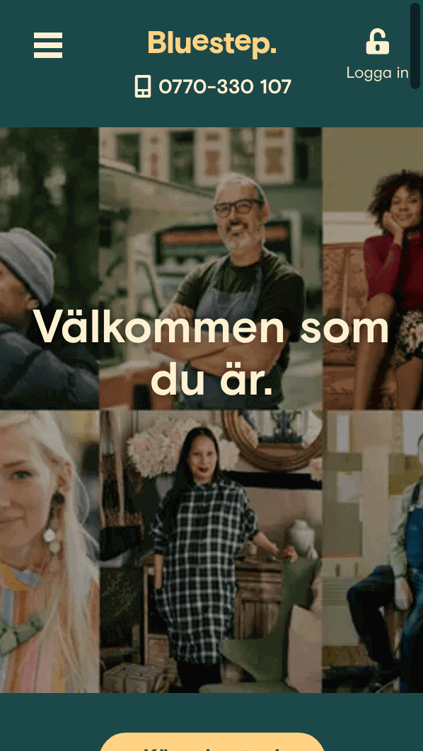 skärmavbild Bluestep Bank