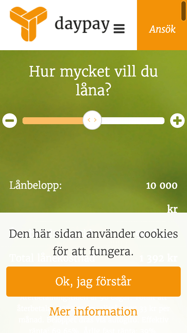 skärmavbild Daypay