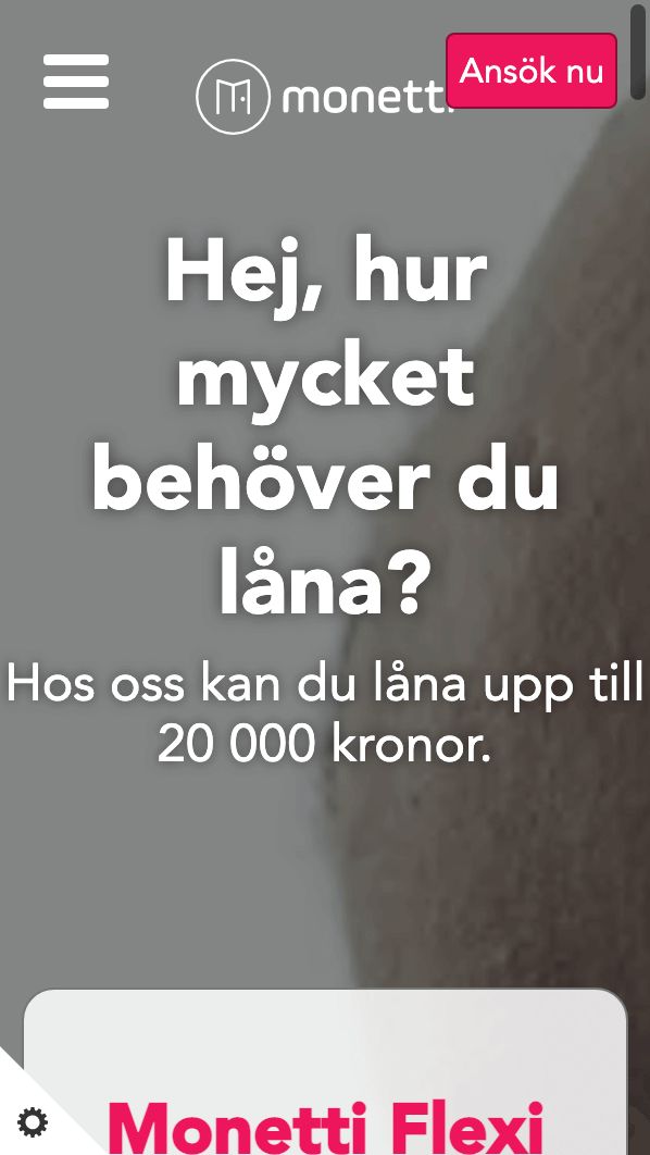 skärmavbild Monetti