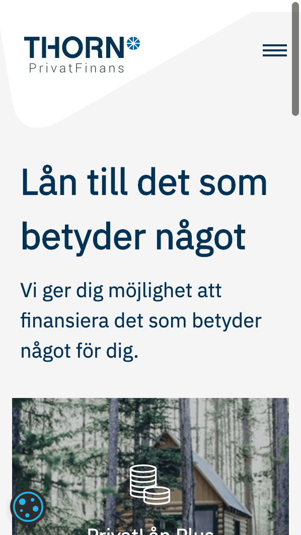 skärmavbild Thorn